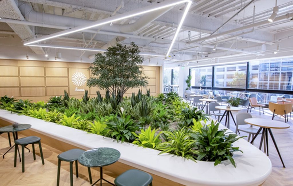 Benefits Of A “green” Office